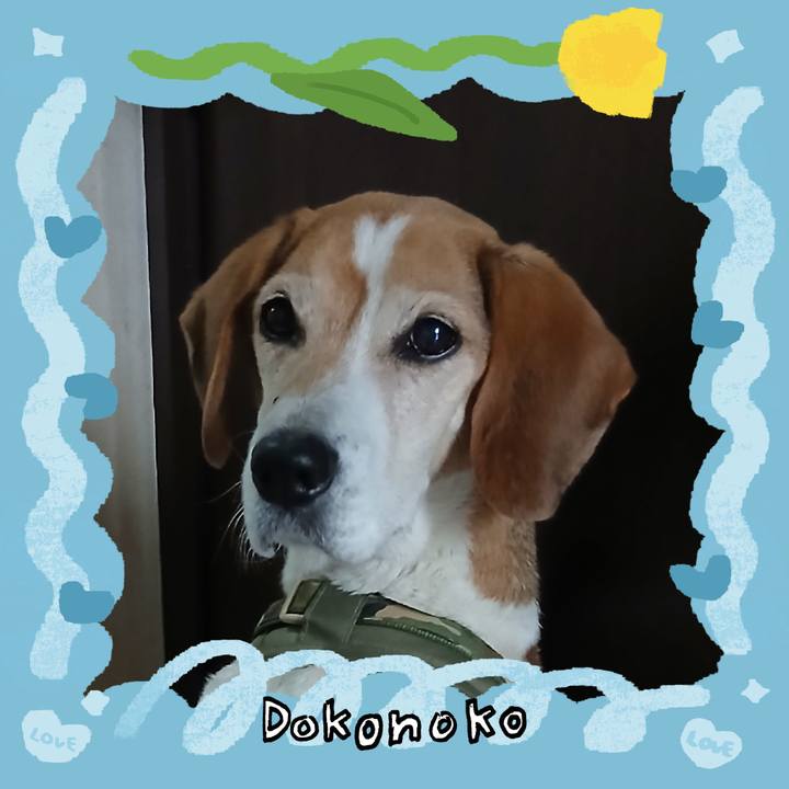 9db13b46 13d6 48ab 9217 f364a71a85d0 1772330190896