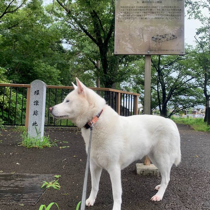 9db140cd dcfa 44c0 94da acb03156f0de 1562370552114