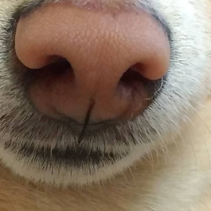 9db14112 e0eb 4337 9c74 0a5ec1516b5a 1523618731972