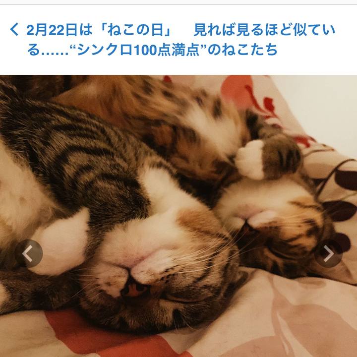 9db15e48 039d 4ab6 b724 b36582373cac 1550913273188