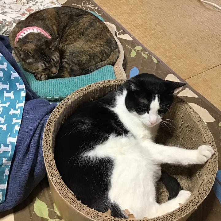 9db1613f 77a9 4c96 86c5 fc8ebb0e839c 1744017047725