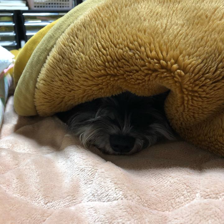 9db1ec97 14ad 487b 8358 3b4462b2dd08 1576018319018