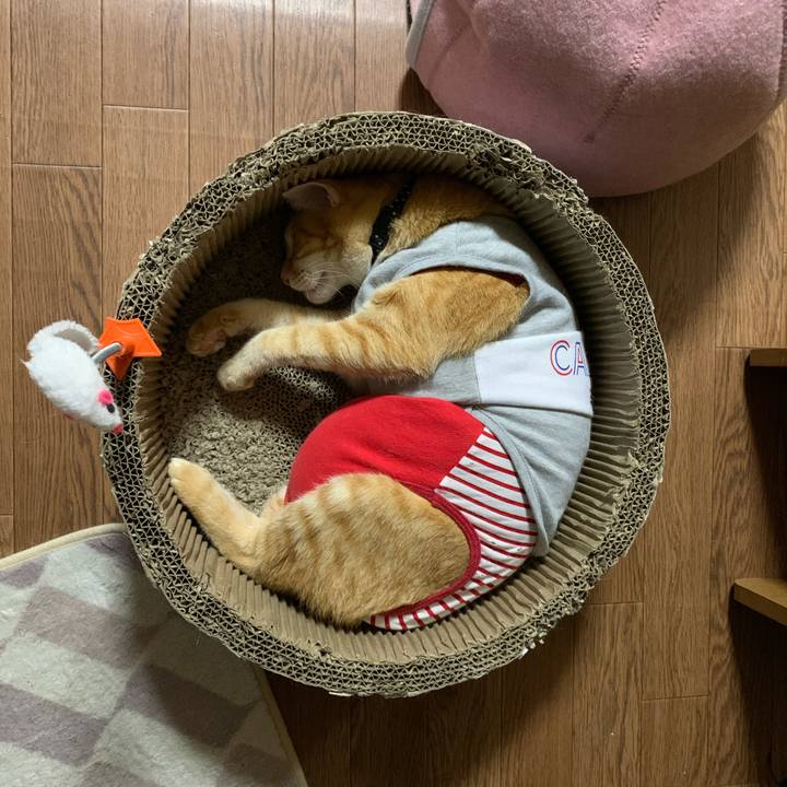 9db21aa0 732e 4670 83fc 054ef5748ff0 1597069170423