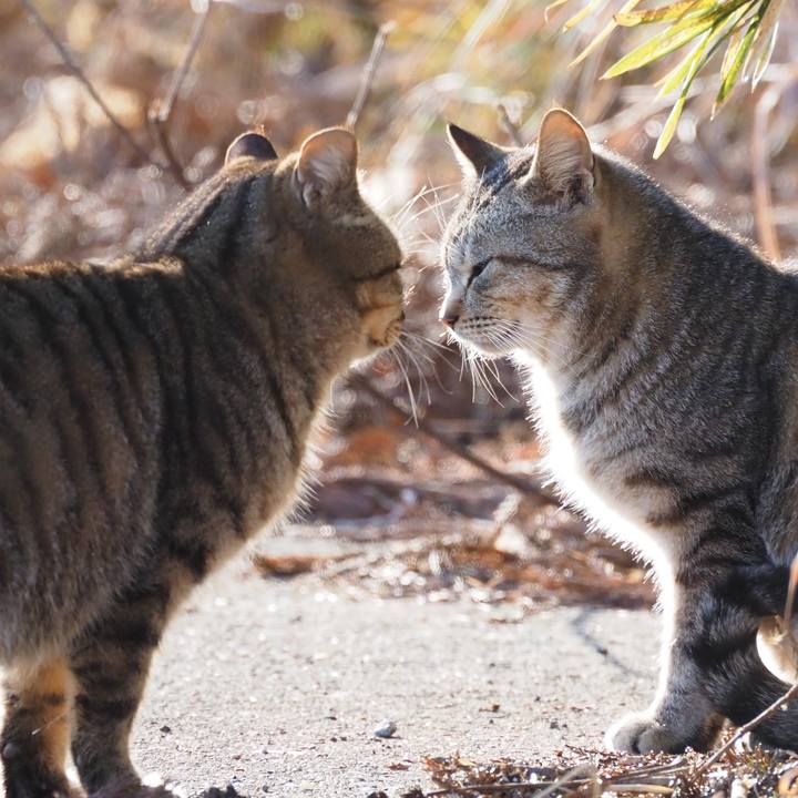 9db246d8 d6b5 410a 8104 7b98e7810c87 1612015227593