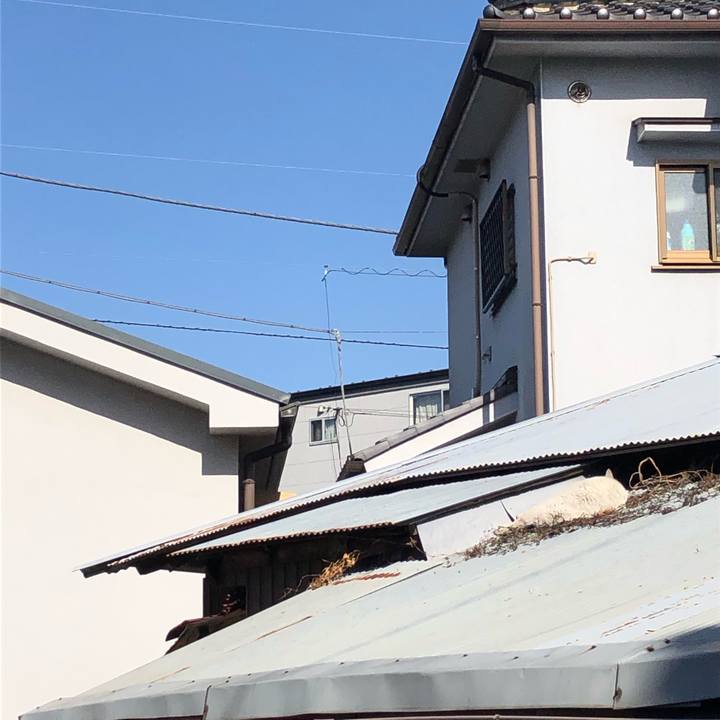 9db25fef a1e1 4da4 8252 ce42b8892379 1550748608522