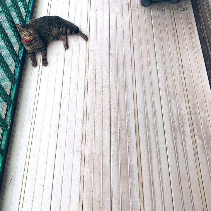 9db275e4 83da 4ca1 9334 1b40cd694982 1568346263175