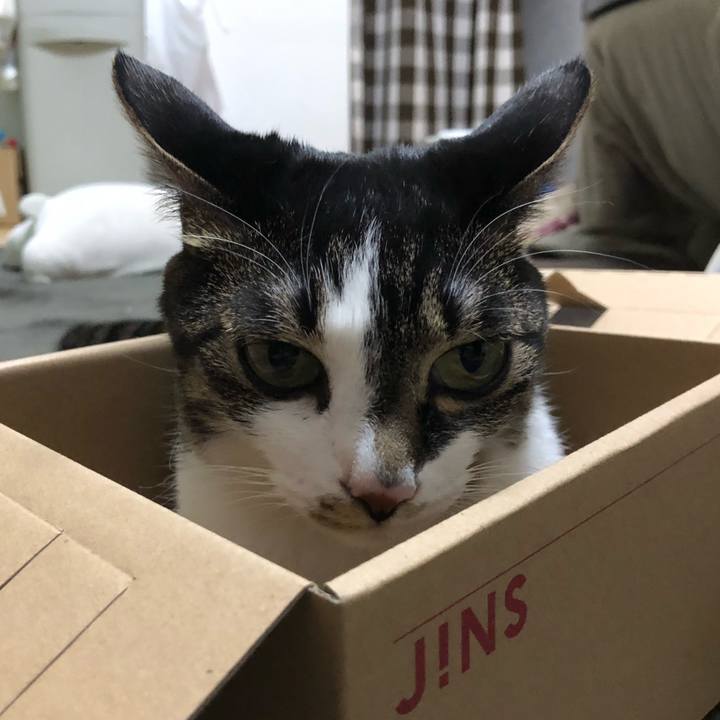 9db2ea26 81cd 4ccf 9f23 83c323f1d27c 1613937075709