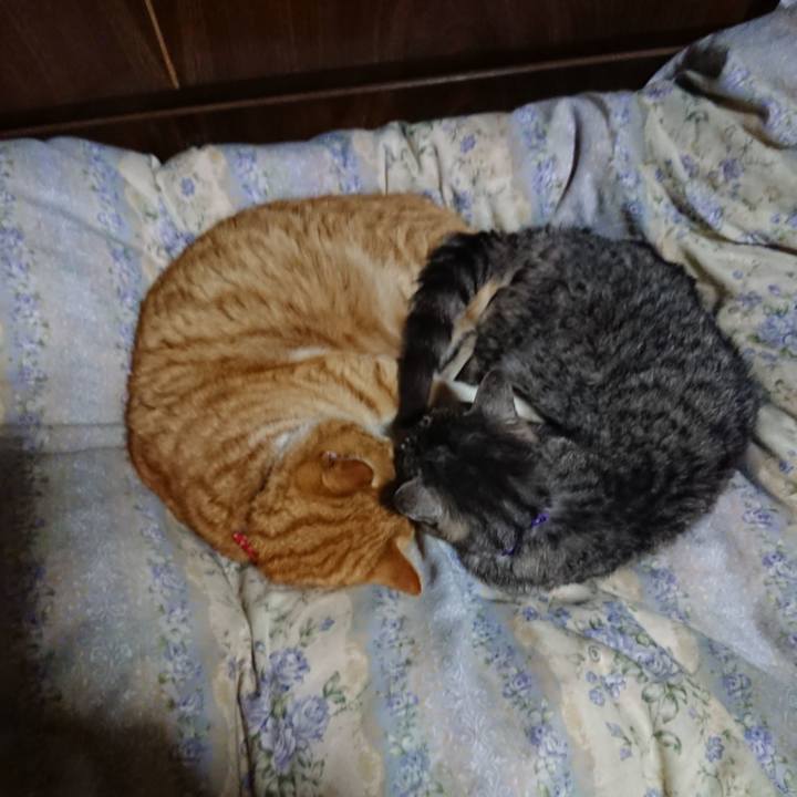 9db308cf 2221 45c1 bead 4928dd1f8c7a 1578749368500