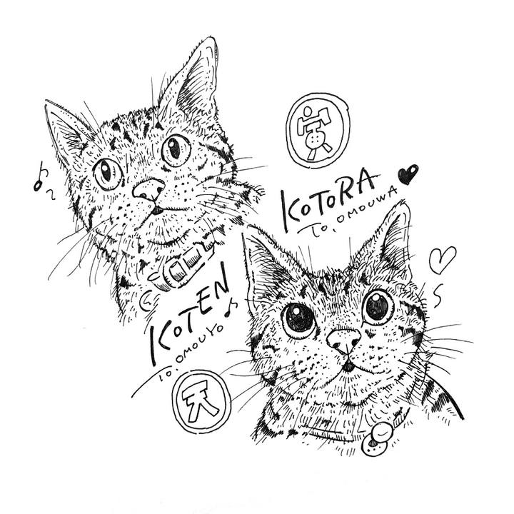 9db33e54 08c5 4c85 b952 b76c51c80b8c 1575647817965