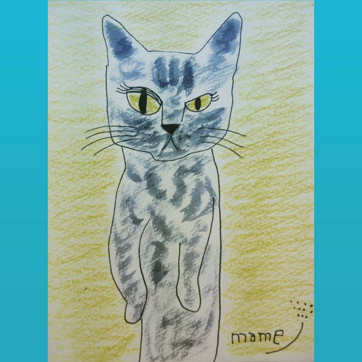 9db35f0d 38ca 4c9a 9fbc c6c0245005be 1535967612000