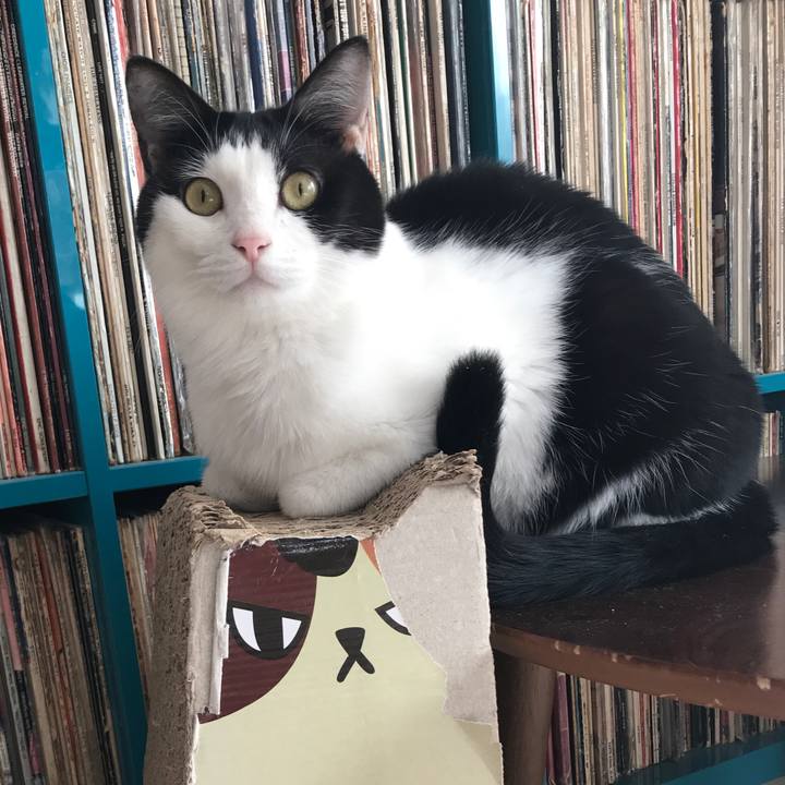 9db364cd 3780 4cd8 a391 044acf55b508 1545183669731