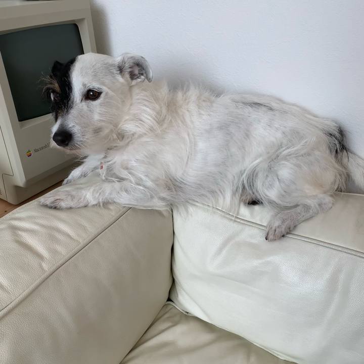 9db396bd d089 4944 8b5c 38063e8ec1d2 1619659411465