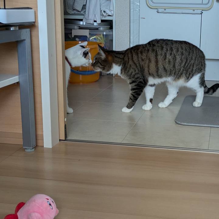 9db3d599 60a6 48c3 b0a7 0c26e4179bd0 1723965849854