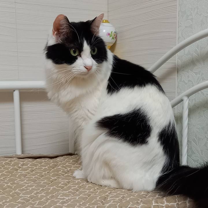 9db3e361 7938 45c6 b88c ce92bcc5bf13 1640075725307