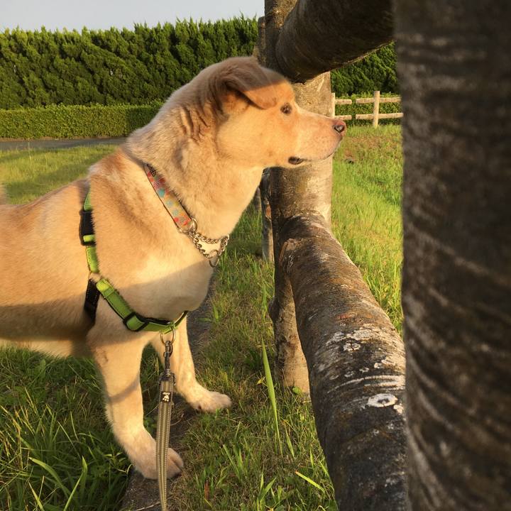 9db42e92 a378 48e7 845b cf74a907a11e 1527331711775