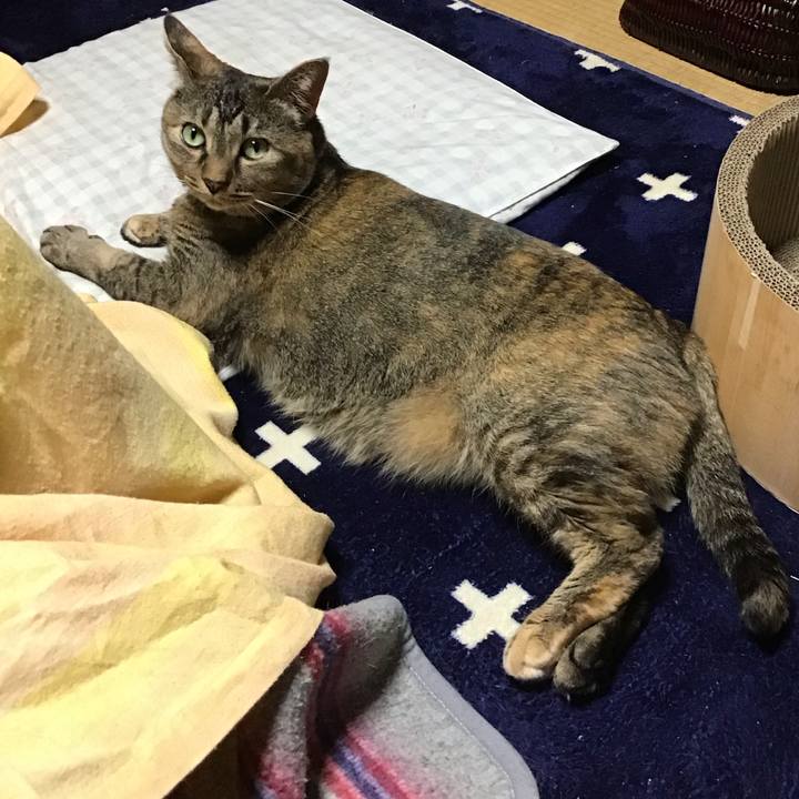 9db46fd5 7bf9 458d 841a 55efbe365cbc 1716368879878