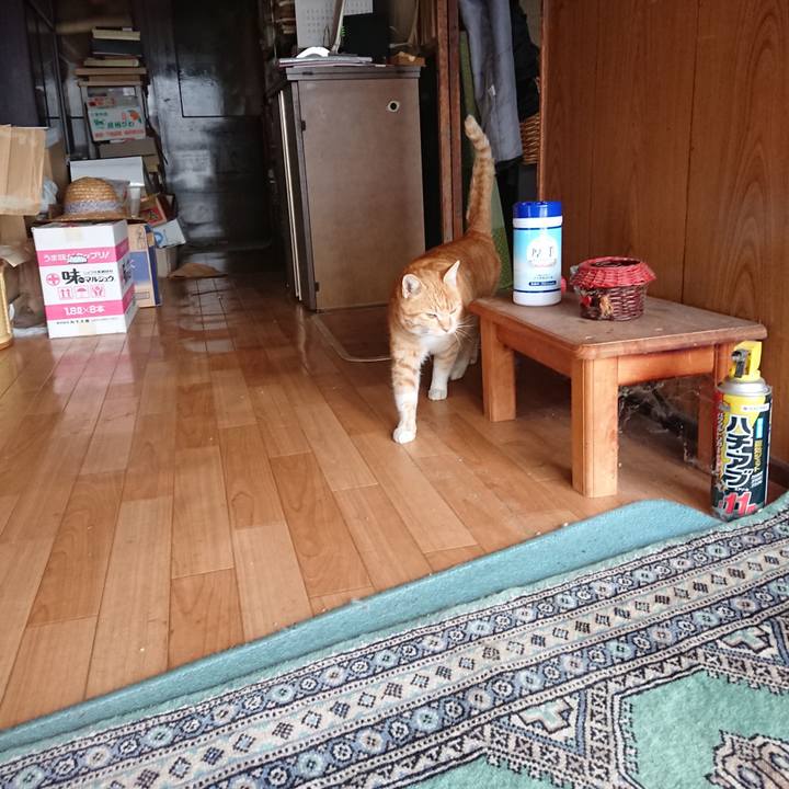 9db49cf2 8a8c 49ae b5fa 47859b145288 1583465911434