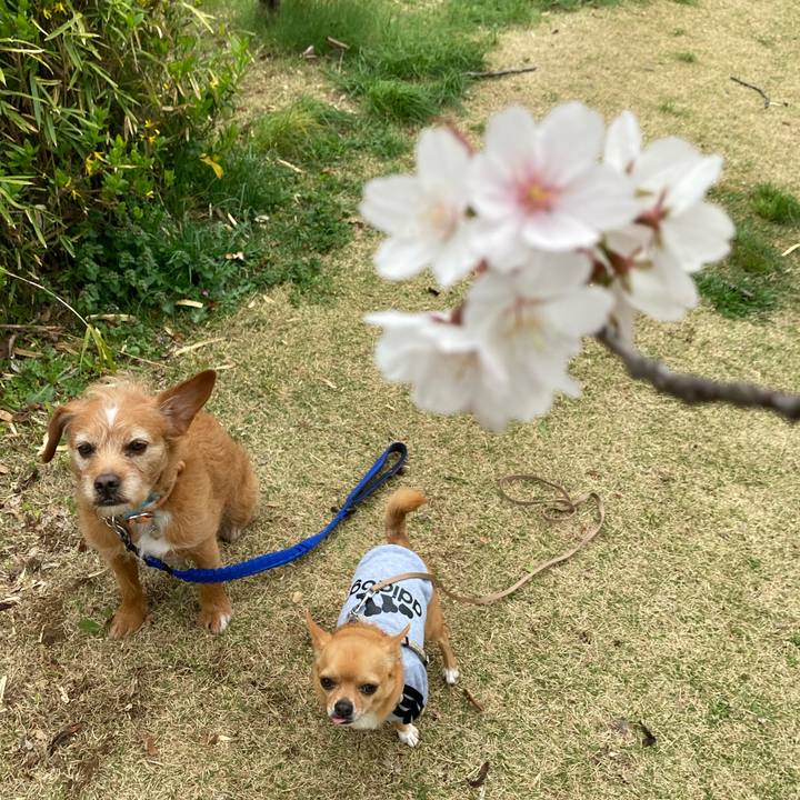 9db4a582 b479 4614 b975 5d16466ff03c 1648594320819