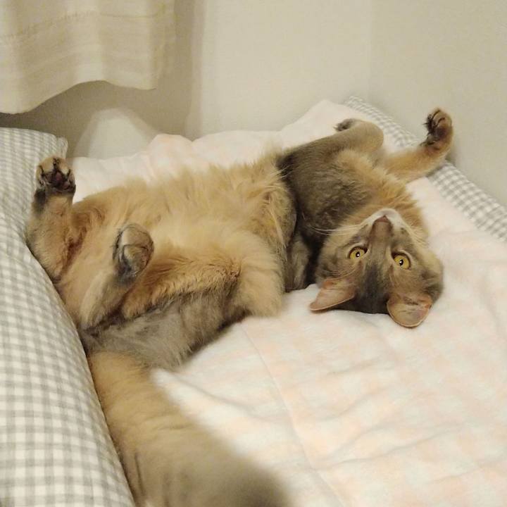 9db4b8c9 20bb 4101 8243 5a049922053f 1624236986581