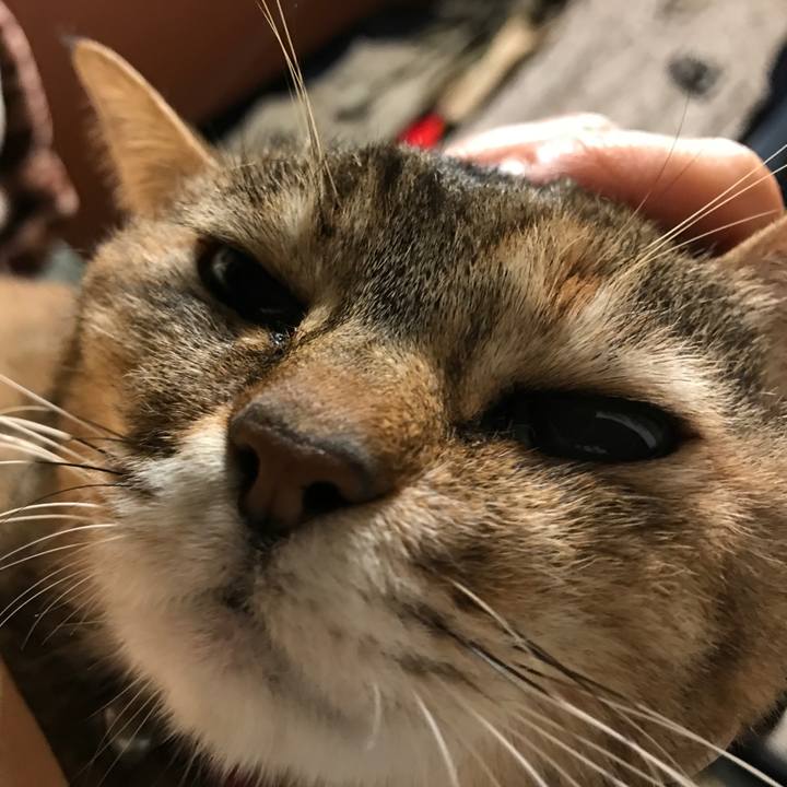 9db4dba4 9b77 4cb9 9b5f 555a43f96bf9 1548432960976