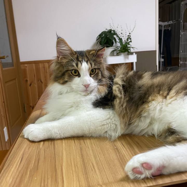 9db4ede1 4841 4ee3 a792 8943a75e52e8 1640596878944