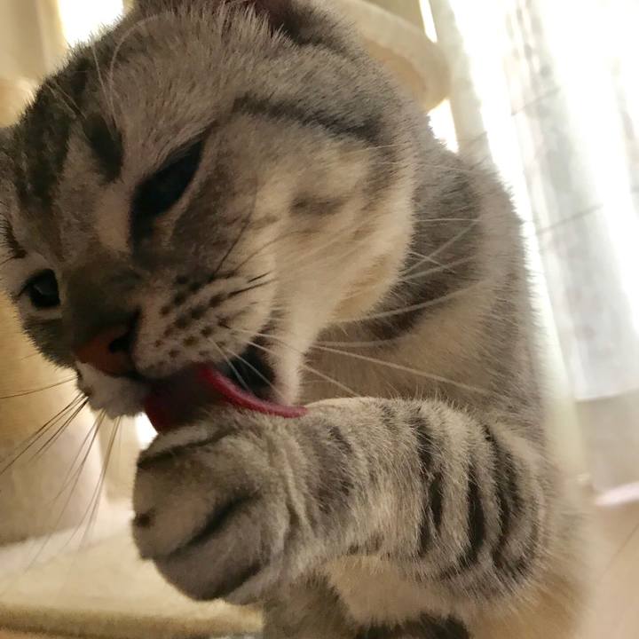 9db51f91 3e79 4901 bfbe fd556b47f41d 1527108825238