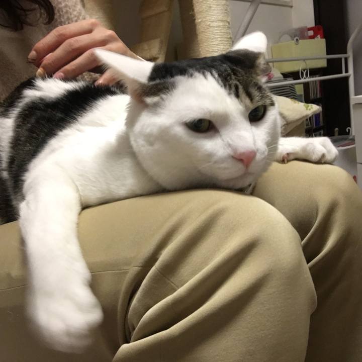 9db53aa5 8da7 41aa bdcb 0b98ea563440 1518609800365