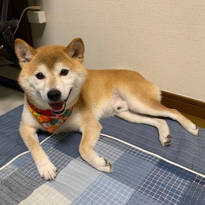 9db5826f 7310 4078 baa8 51aeebc8192f 1597833100769