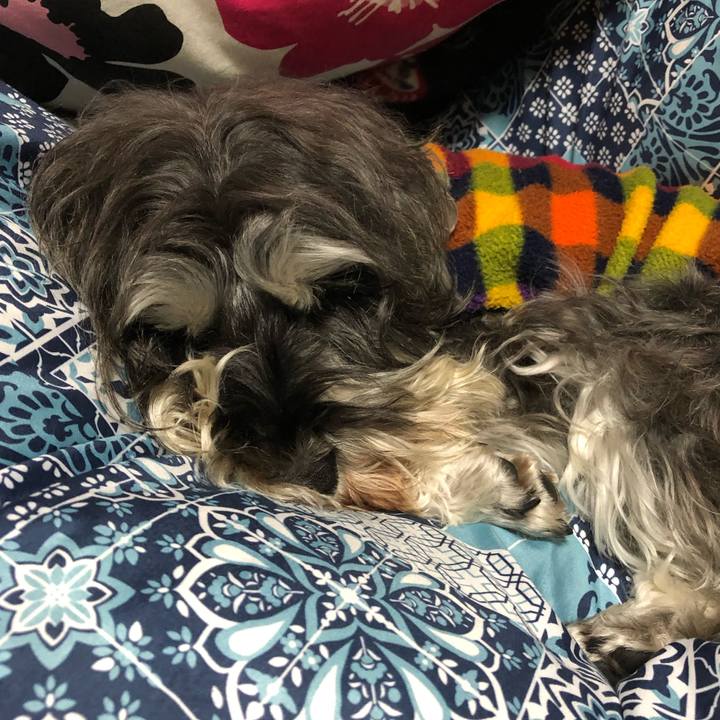 9db598cc a14a 4231 b5fa 14a37f6227d5 1549201611105