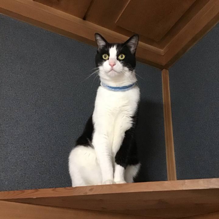 9db5c1df a0f3 4900 8477 e953fe96c10b 1684324263315