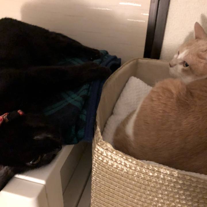 9db62b7b 7660 4d1b 8d51 2fc663ce9d16 1511269017711