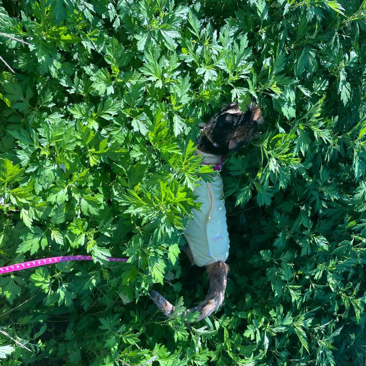 9db645d0 bc0e 4678 94de ae49acc54e5a 1727964410399