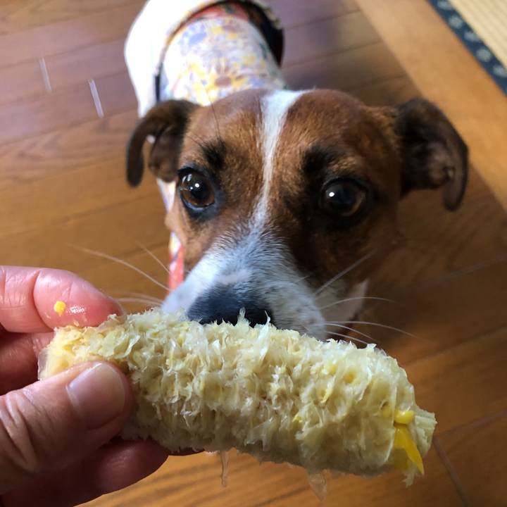 9db69c29 0b80 43ee ac30 19961a23c518 1595737670033