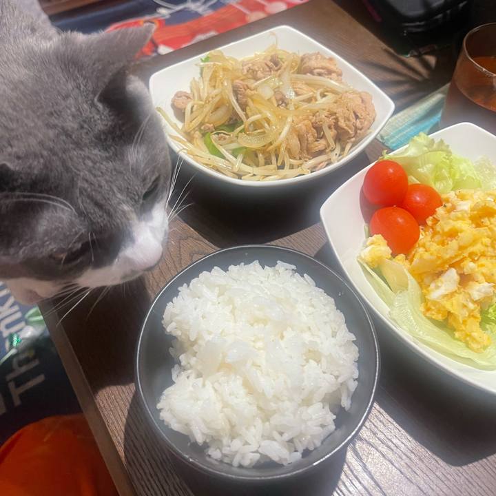 9db6b40f 72bc 4064 ad09 14667bb17fa2 1729768264502