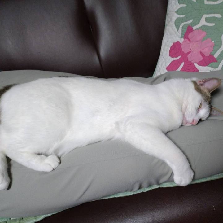 9db6d4b4 0d15 46c0 83d1 035bb5be36f4 1747225212296