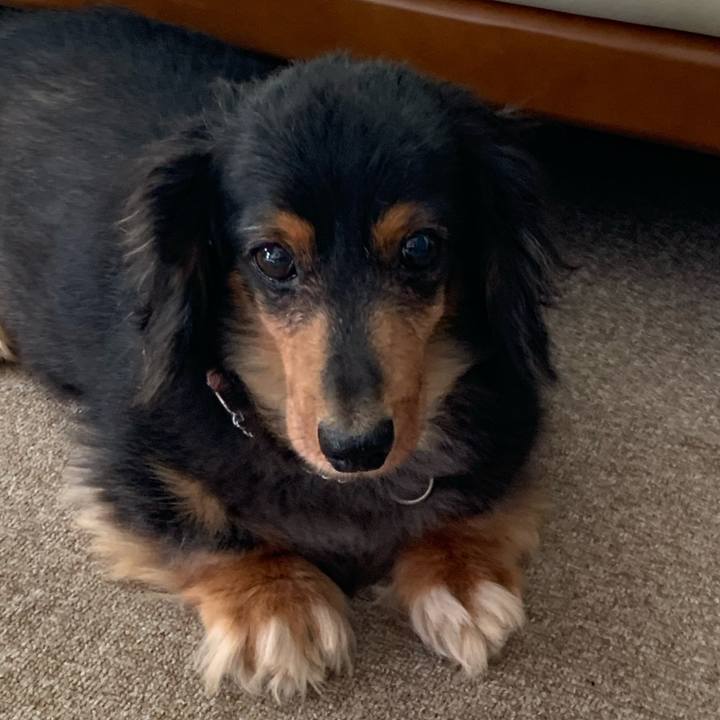 9db6e64f e82c 47bf a13a 98580f32b707 1598564995218