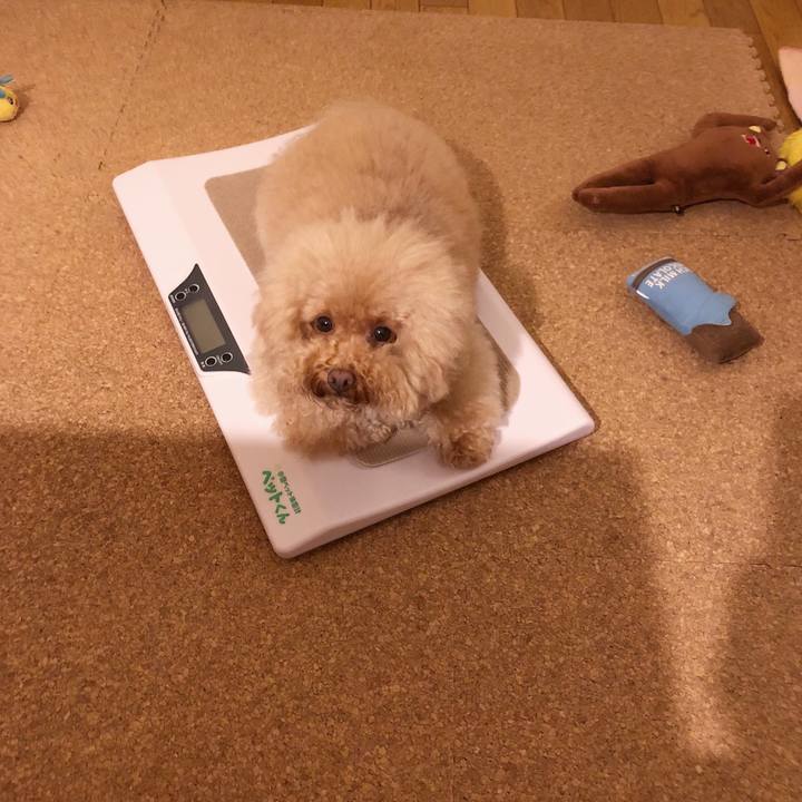 9db6ed53 8afc 41b0 9ab5 6d44d49e7269 1537444761096