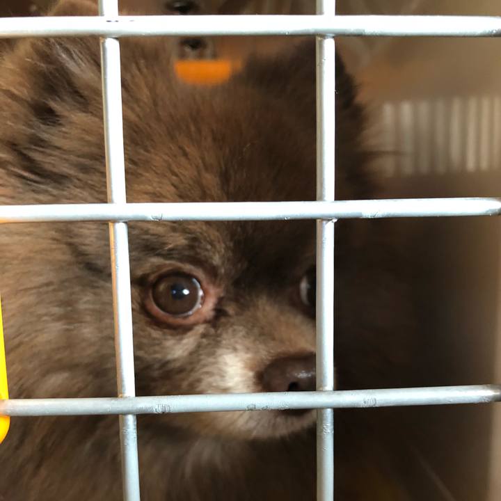 9db6f1e4 d9fd 4014 8c47 a181692bcafe 1545095389843