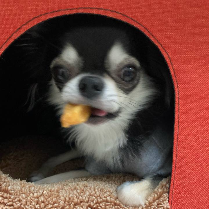 9db70ecb 291d 4be3 833c 3013bb077048 1639803965860