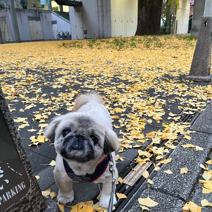 9db72373 c224 4dee b8d6 e6efa5b9189a 1763939348295