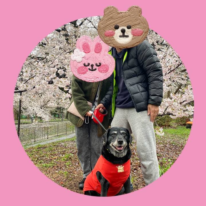 9db72dbd adfd 4535 9579 3f0e814ce6b5 1679733960836