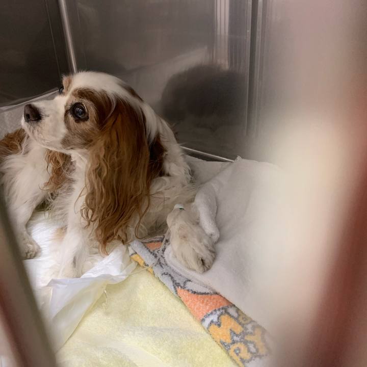 9db7f125 abdb 49e7 ac9e 826ca0660cb8 1623014563402