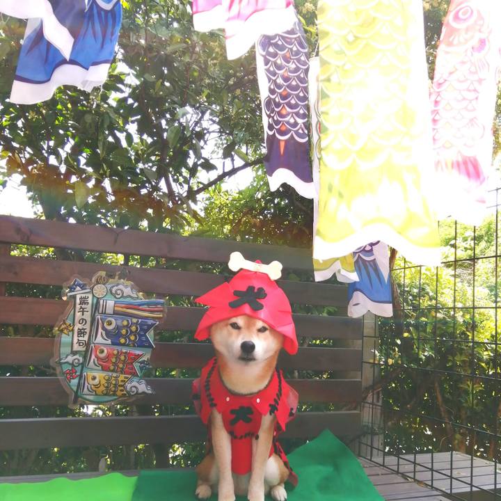 9db81eac 524a 44bd a2fa 30bfe9ff8bbb 1682731962515