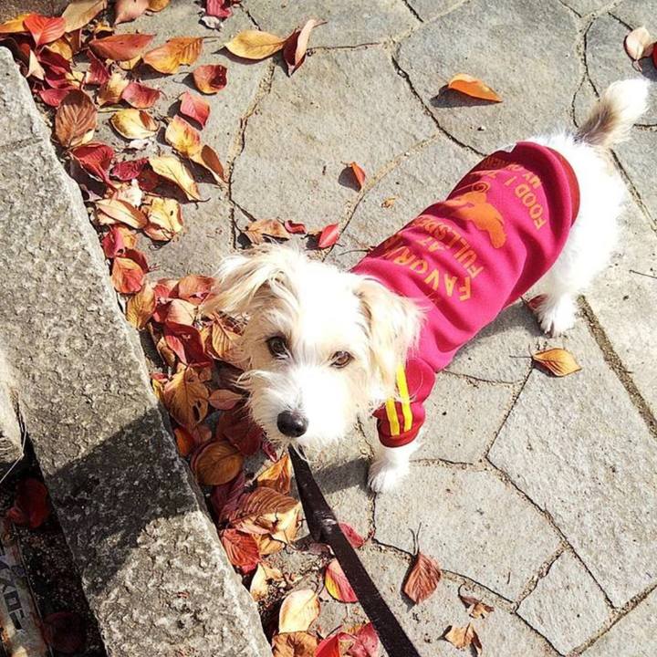 9db8952f 4655 4301 9669 b837cab78300 1668862835451