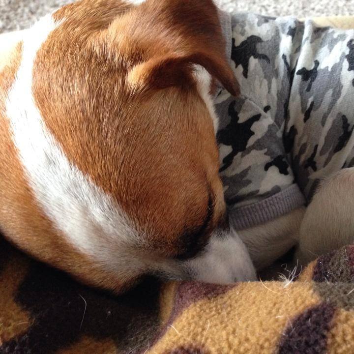 9db89f05 31ba 442c 923e a90e1c10a25b 1652406479285