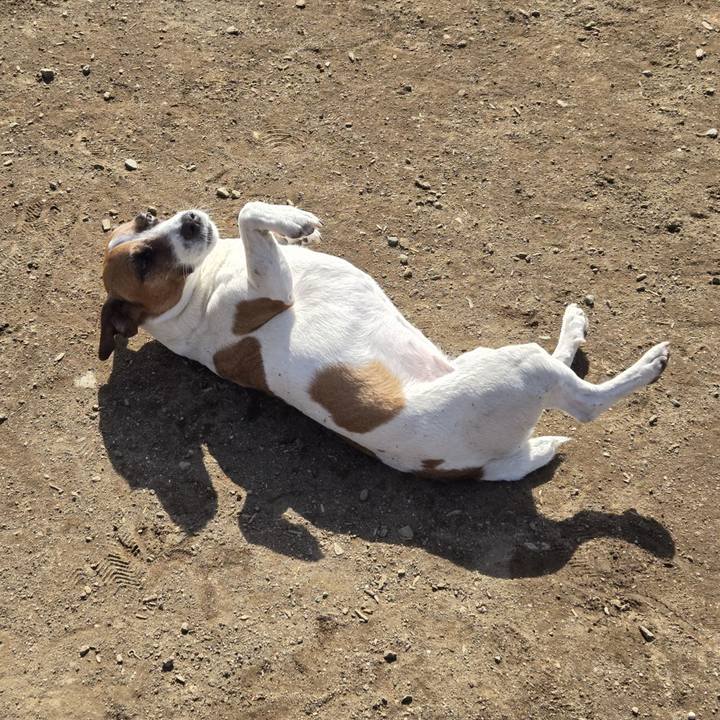 9db8cf13 47b5 42d1 b8e5 2e6f858230b6 1772417717252