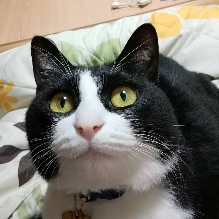 9db8fc66 0421 4a3e 82d6 f826eec41a9c 1577113936252