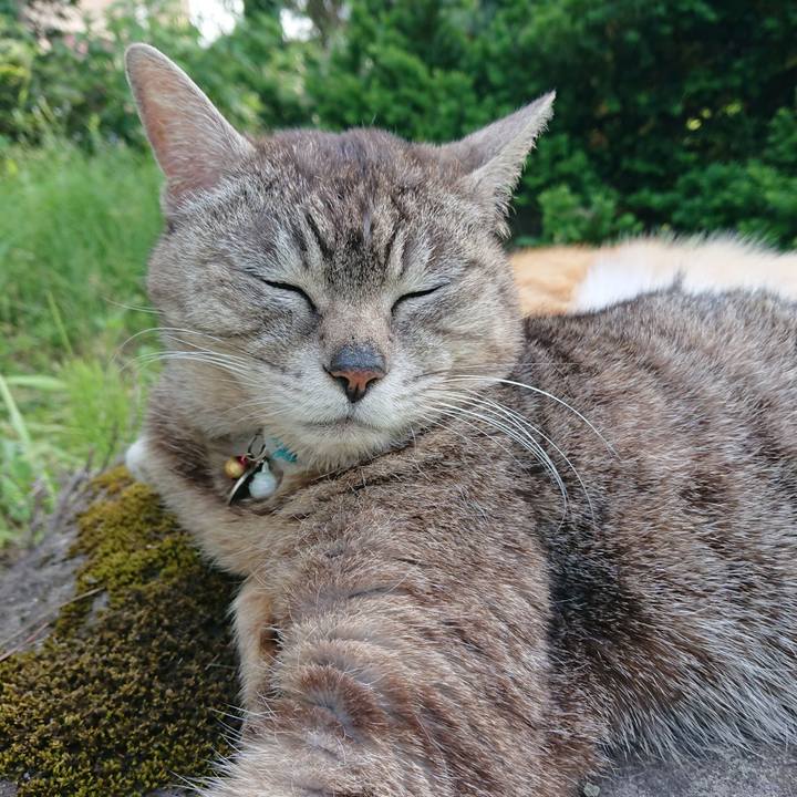 9db90116 4c27 4fb4 8e59 87e6cf18896c 1559461065112