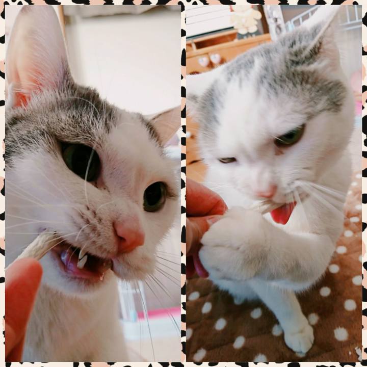 9db91df7 4244 4f09 9e1c e206da5f2087 1513922730523