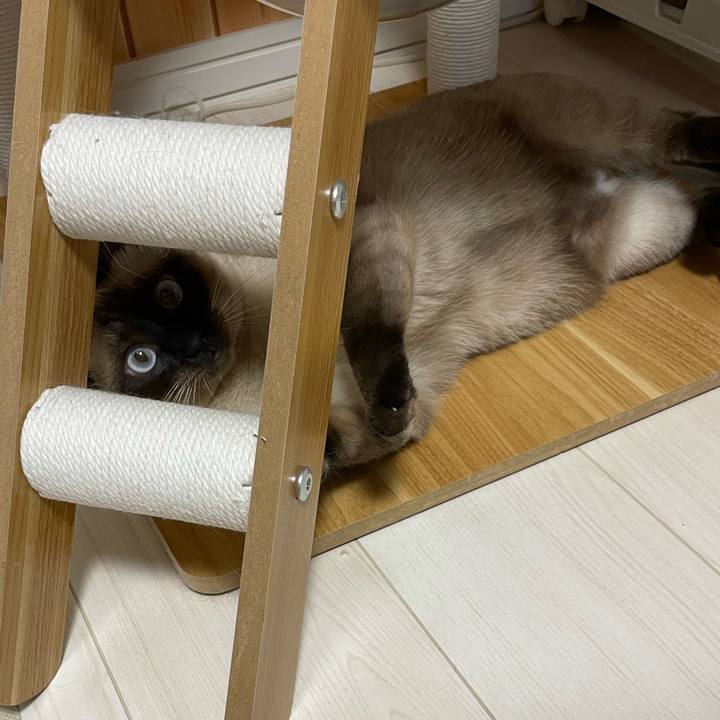 9db92ba3 ce92 4882 b42f 1601e81bfa17 1728681920589